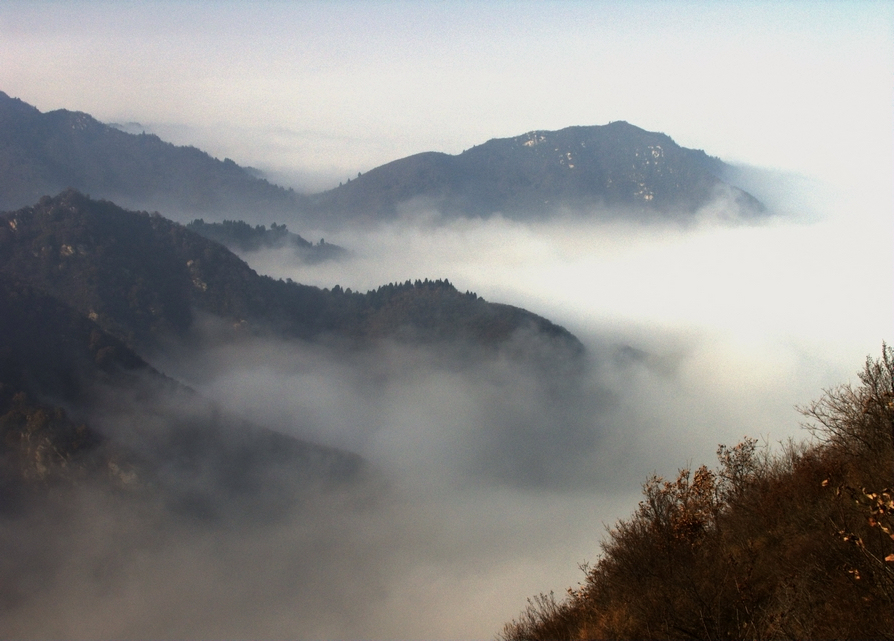 CRW_0048.jpg