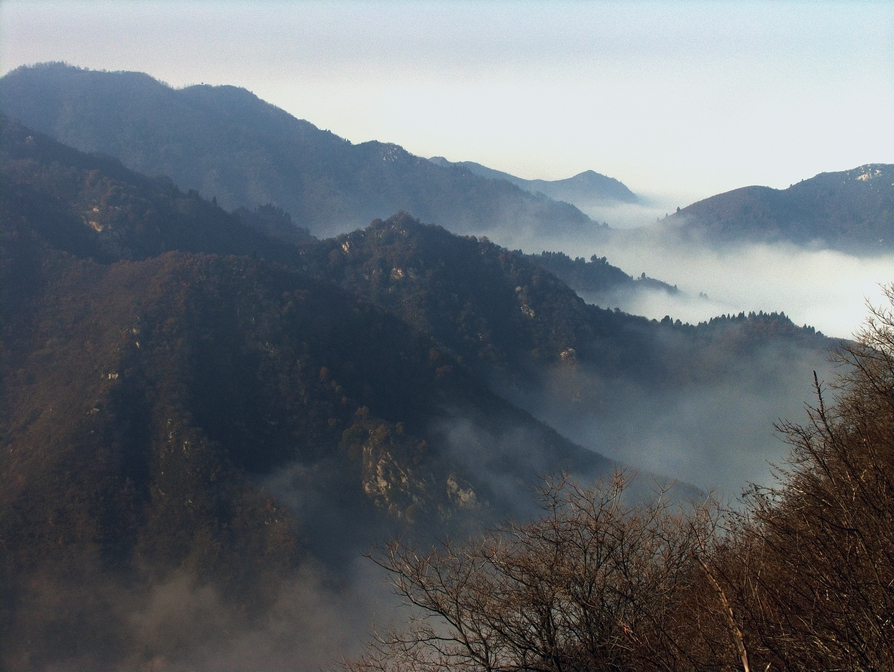 CRW_0055.jpg