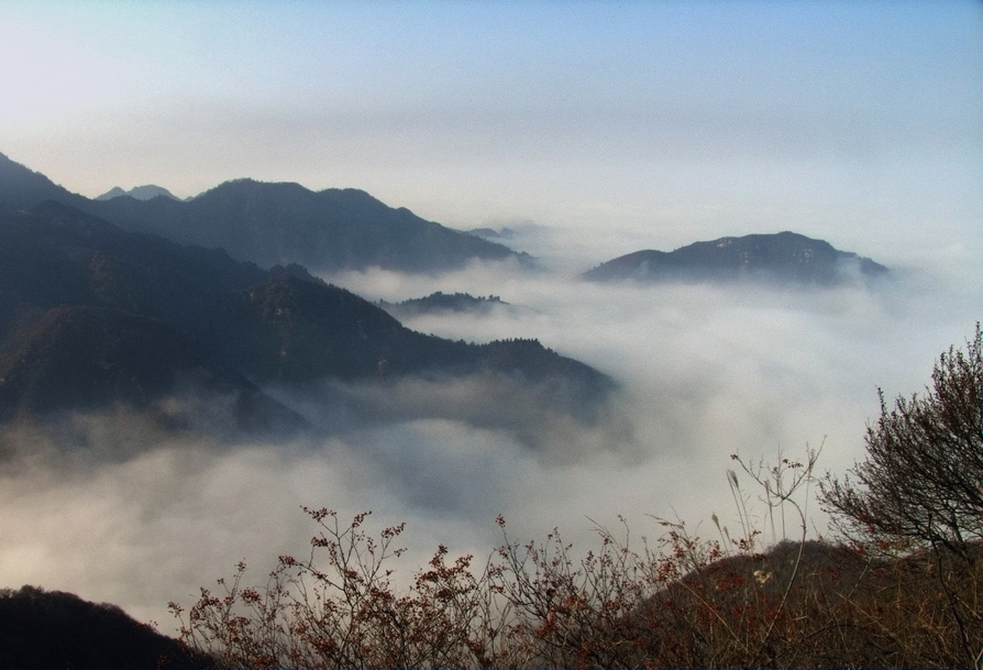 CRW_0068.jpg