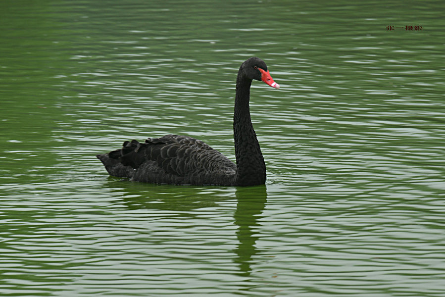 DSC_0626_副本.JPG
