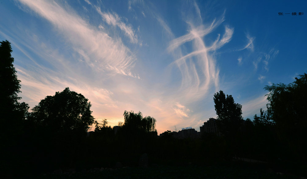 DSC_0950_副本1.JPG