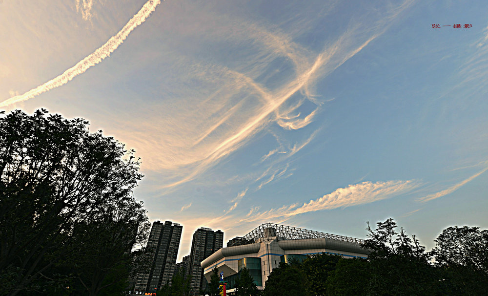 DSC_0967_副本_副本.JPG