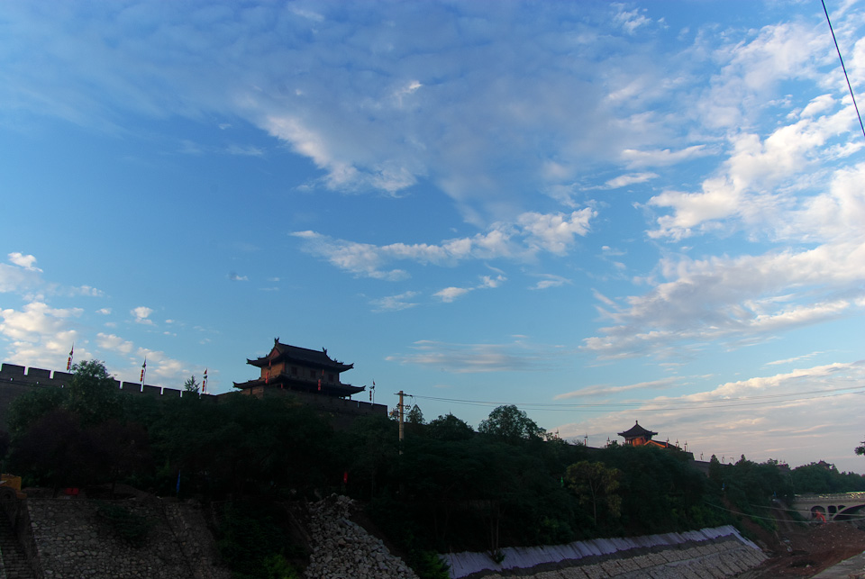 IMGP8654.jpg