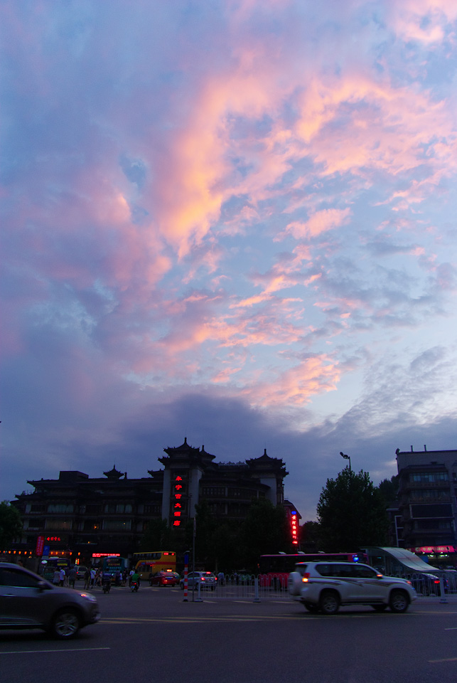 IMGP8698.jpg