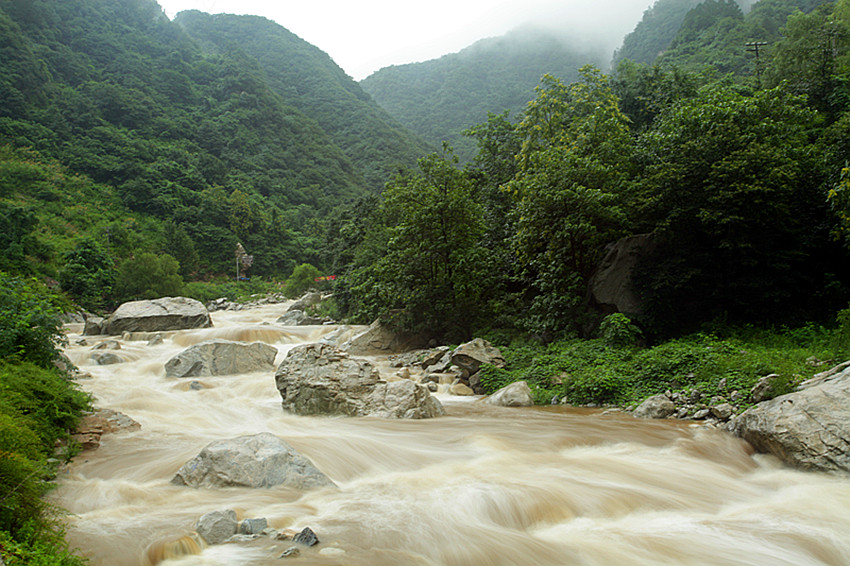 渭河 068_副本.jpg