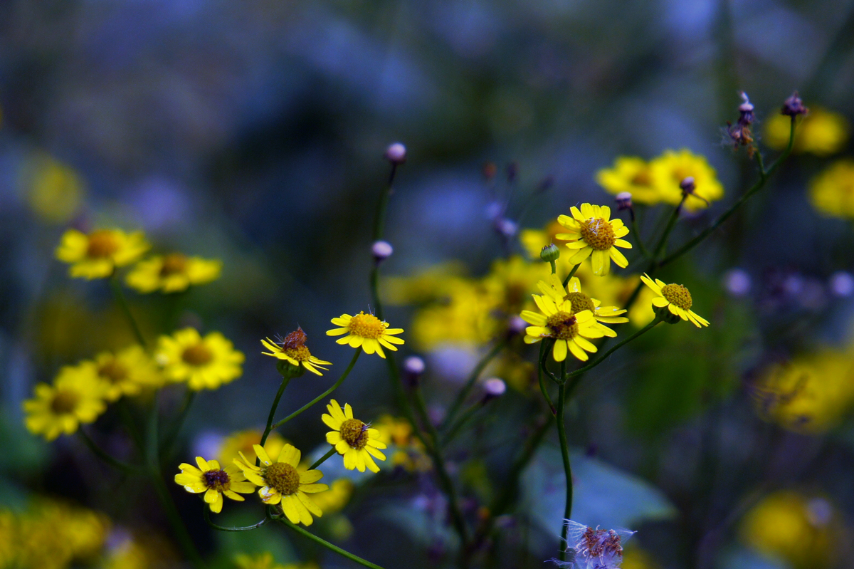 DSC00105_副本.jpg