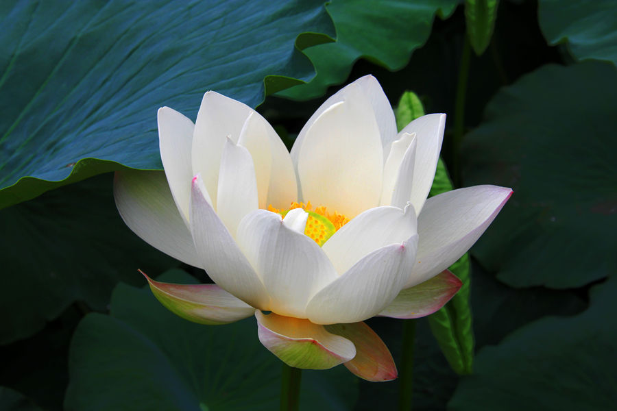 IMG_6776_副本_副本.jpg