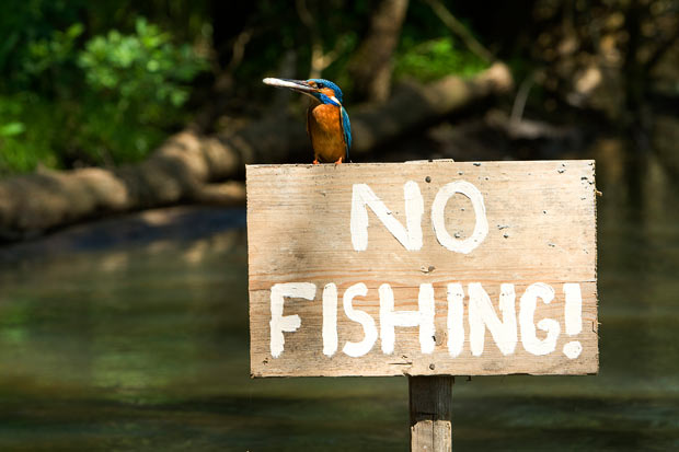 no-fishing_1600098i.jpg