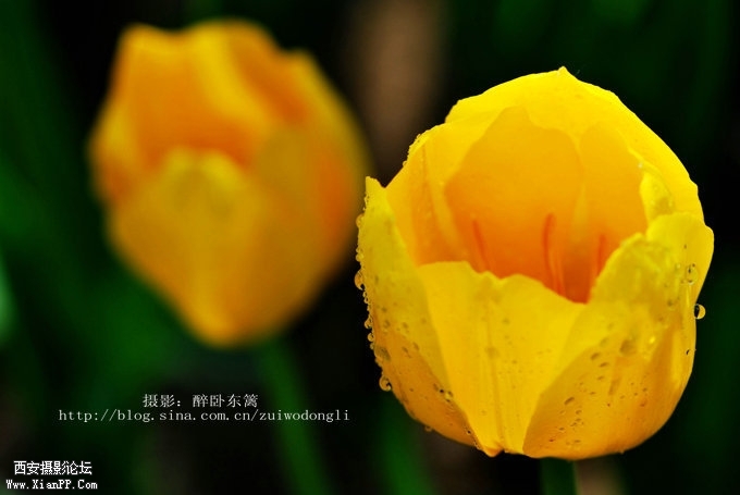184619qcbzp4prqnllqcjp.jpg