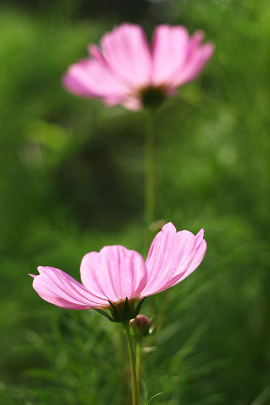 IMG_4812_副本.jpg