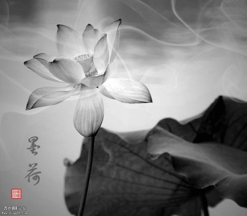 200901t6qxx1jx81z6qcxn.jpg