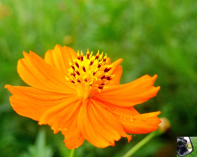 DSC09210_副本.jpg