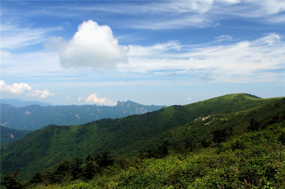 IMG_8947.jpg