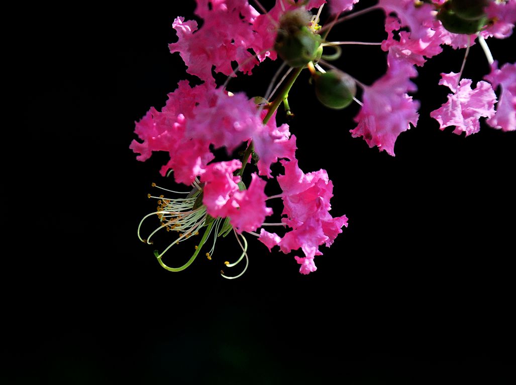 DSC_0796.jpg
