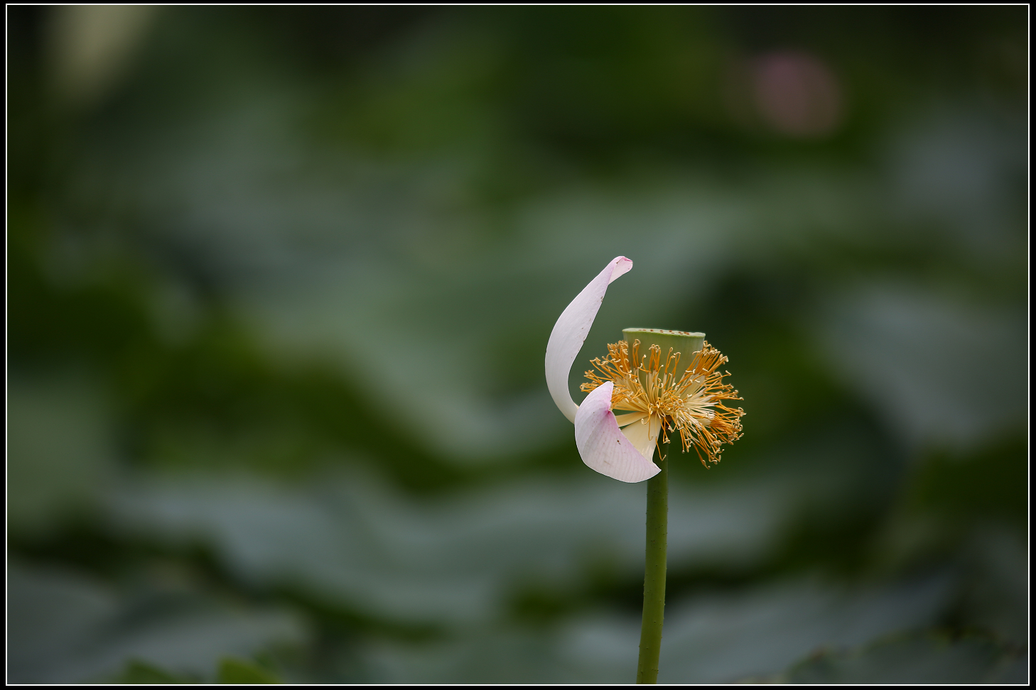 5D3A5759.jpg