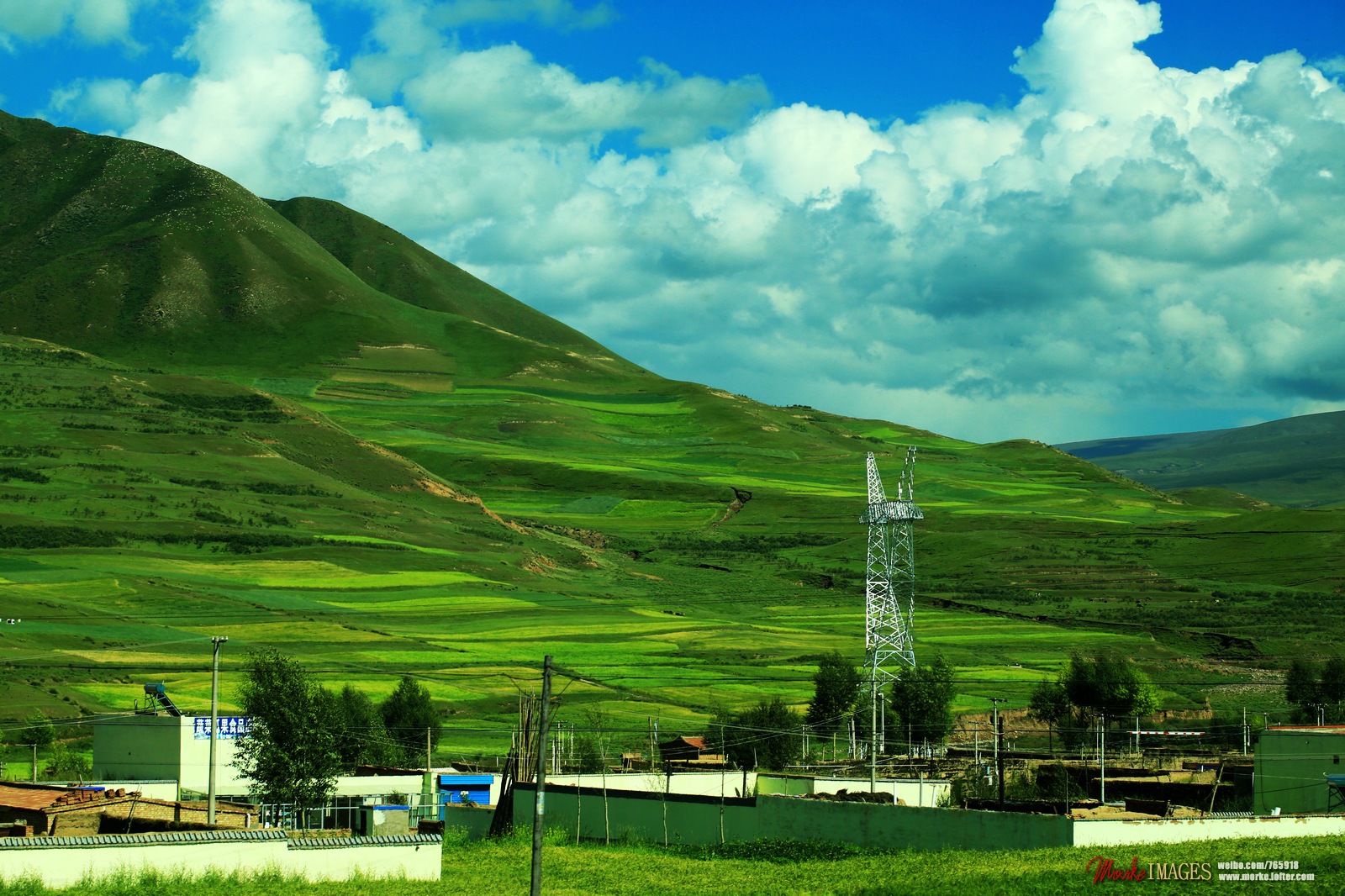1G8A0273a.jpg