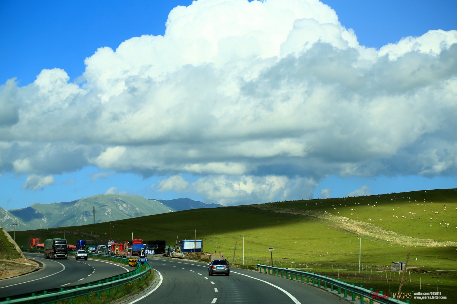 1G8A0218a.jpg