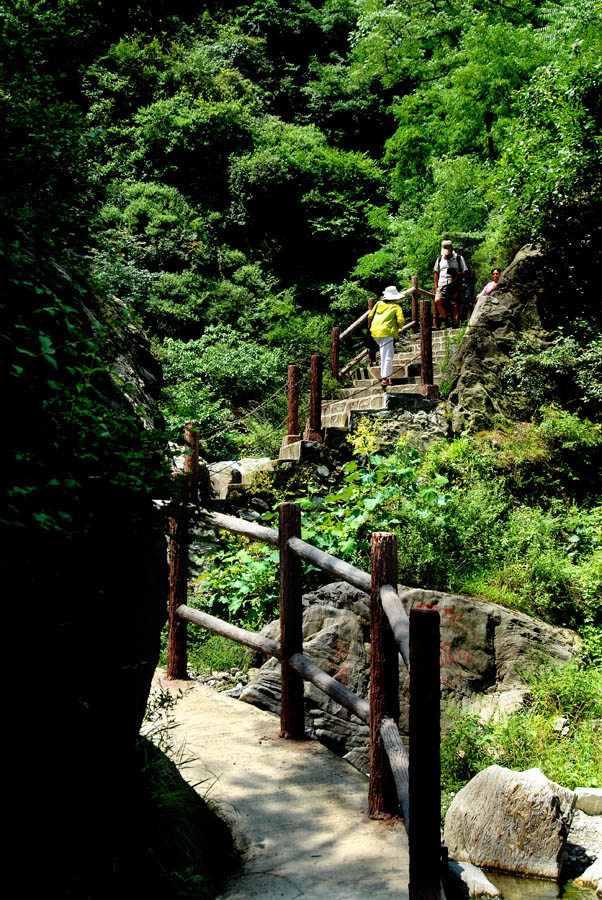 组照-金龙峡谷古栈道(1).jpg