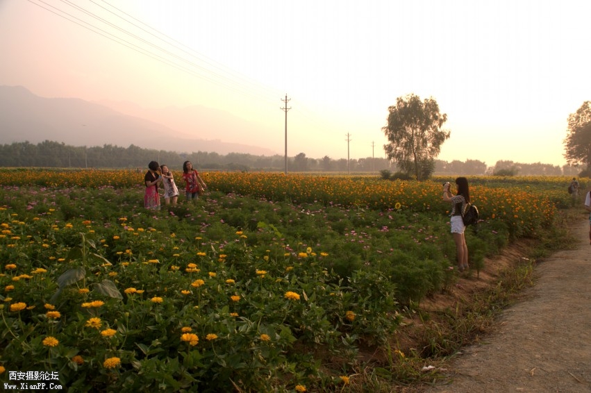 DSC_1067_conew1.jpg