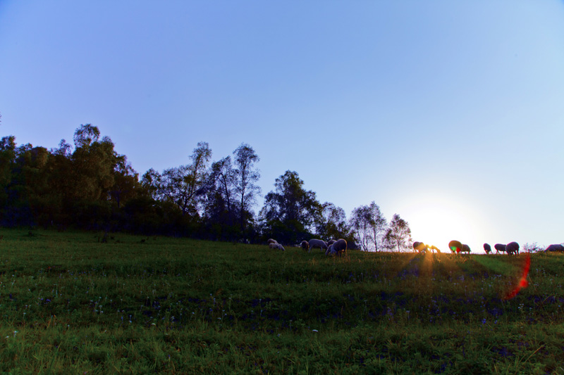 _MG_54141.jpg