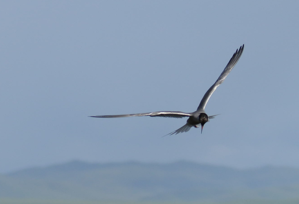 DSC_0259_副本.jpg