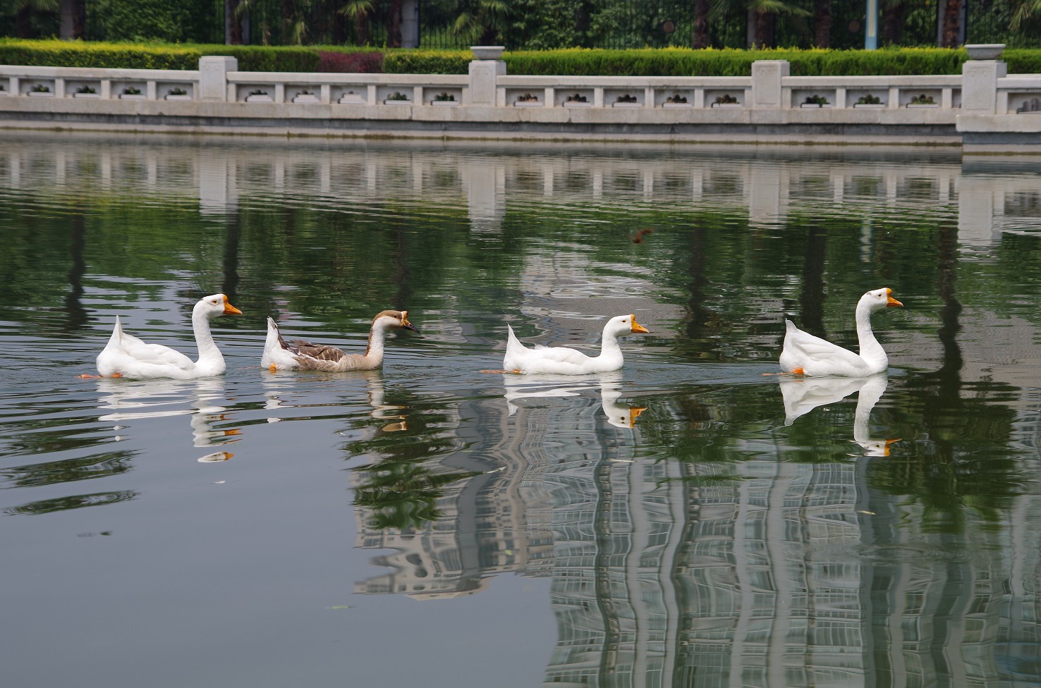 QQ截图20130822193431.jpg