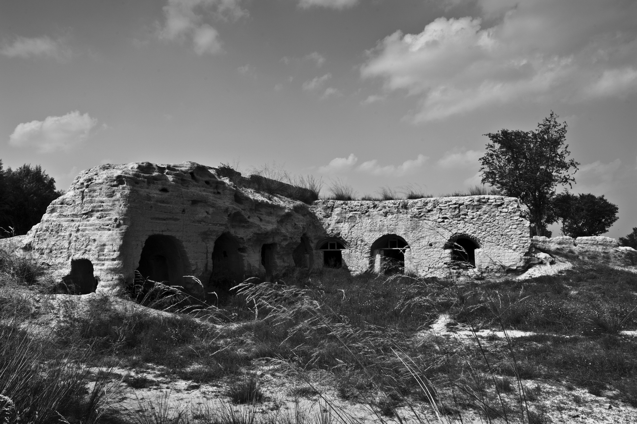 DSC_0866_1.jpg
