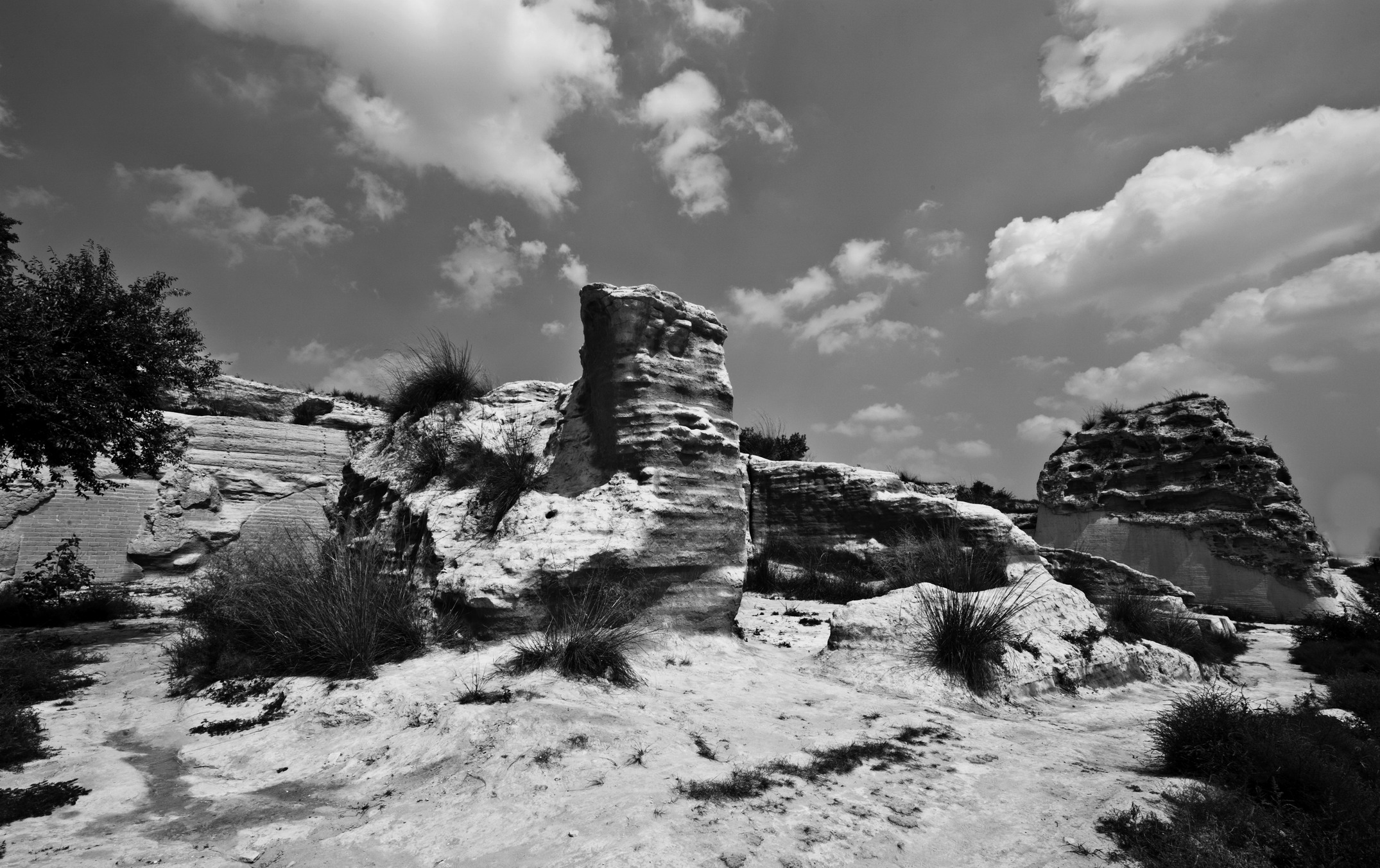 DSC_0820_1.jpg