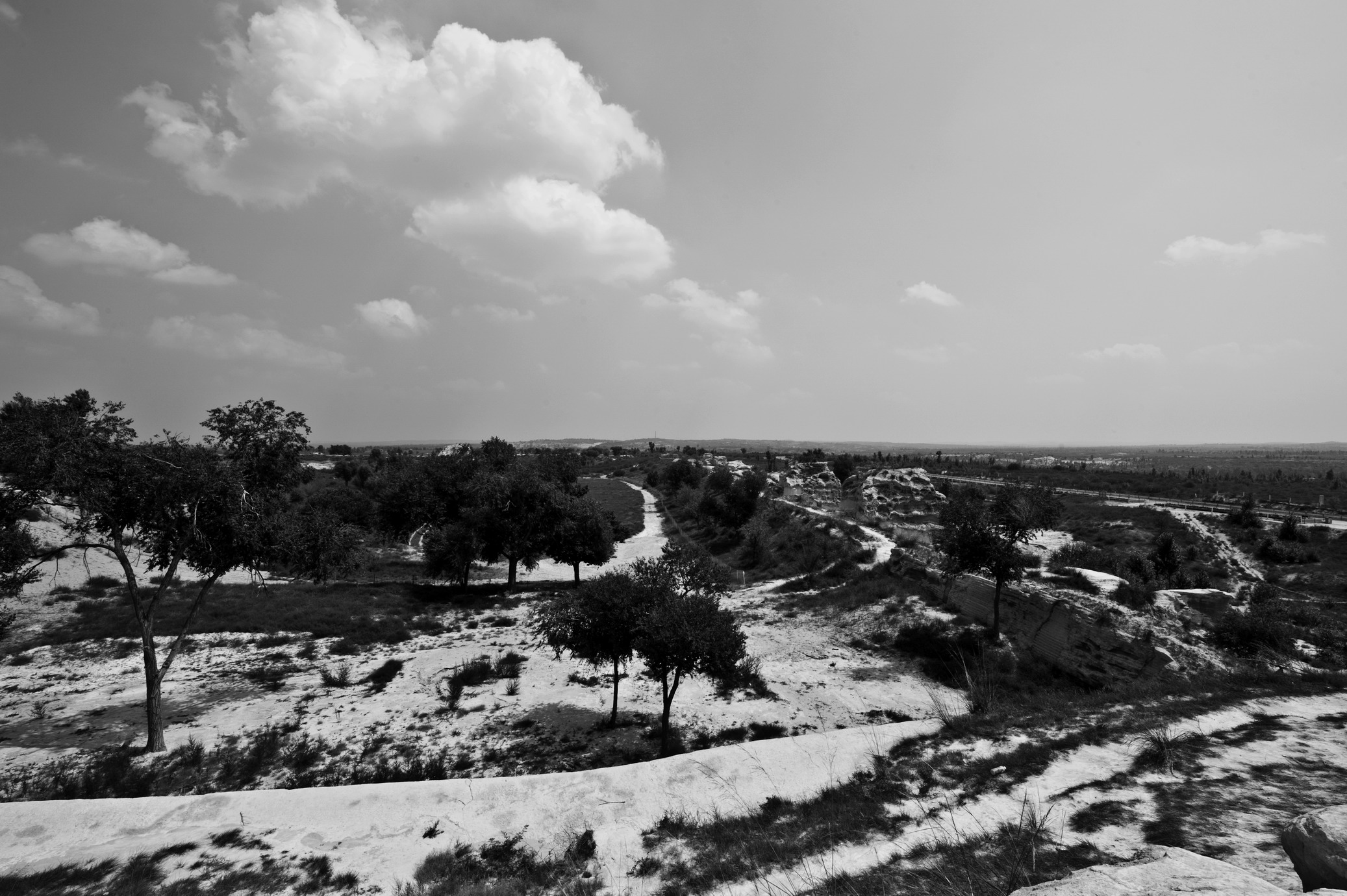 DSC_0823_1.jpg