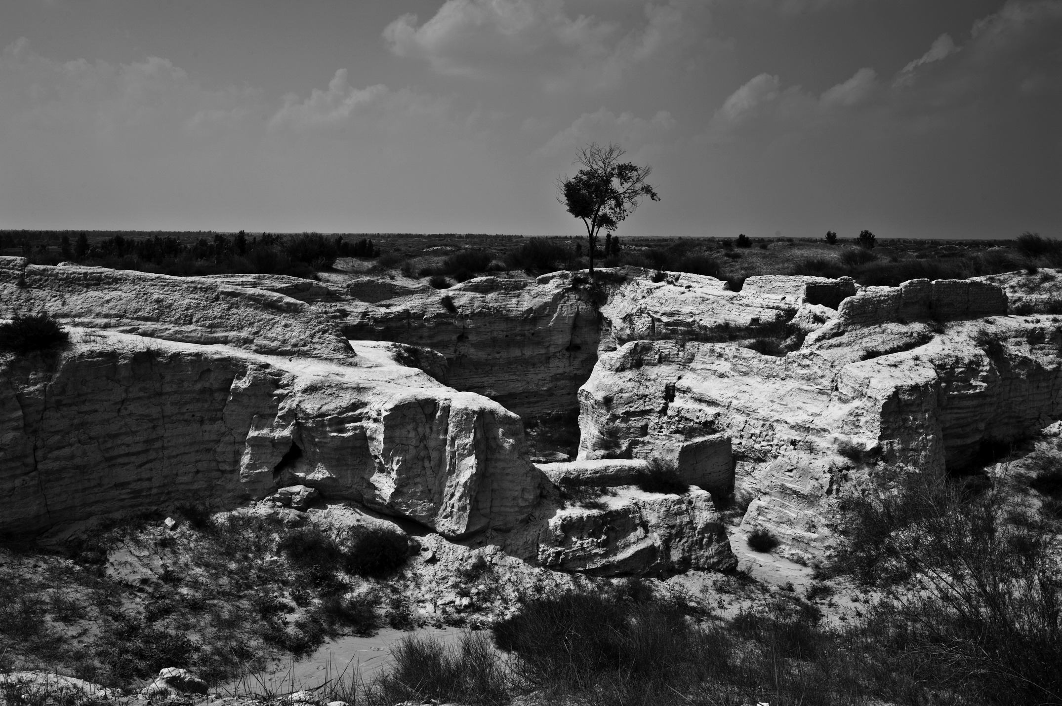 DSC_0828_1.jpg
