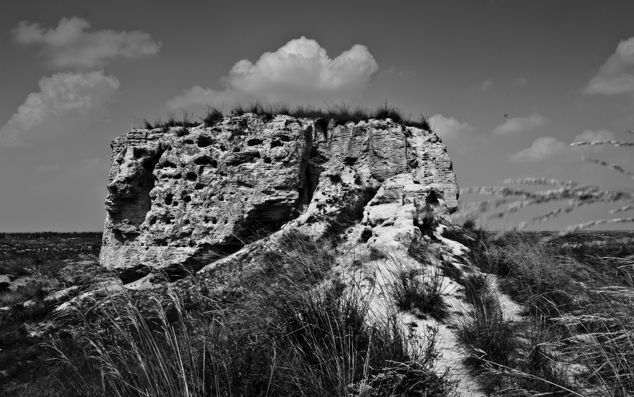DSC_0837_1.jpg