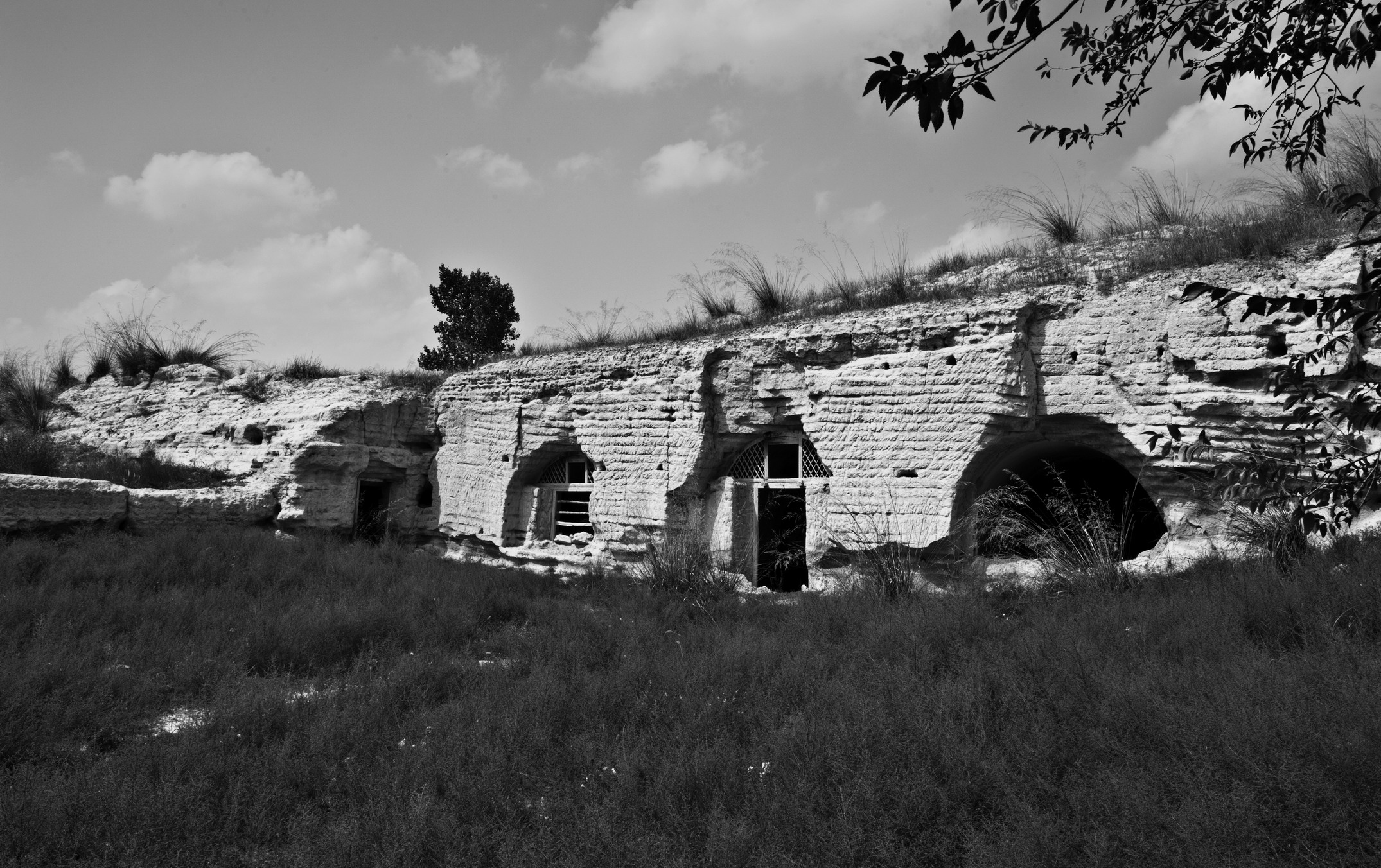 DSC_0848_1.jpg