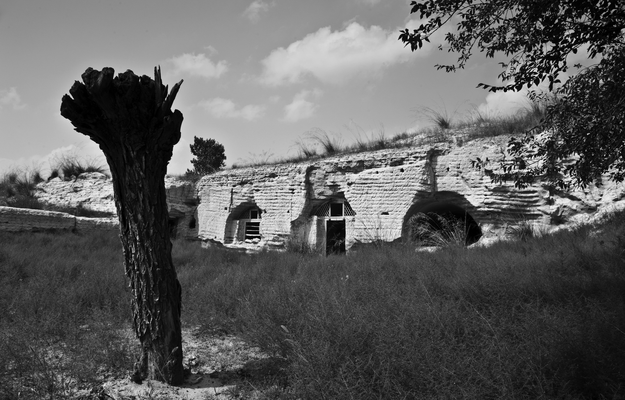 DSC_0849_1.jpg