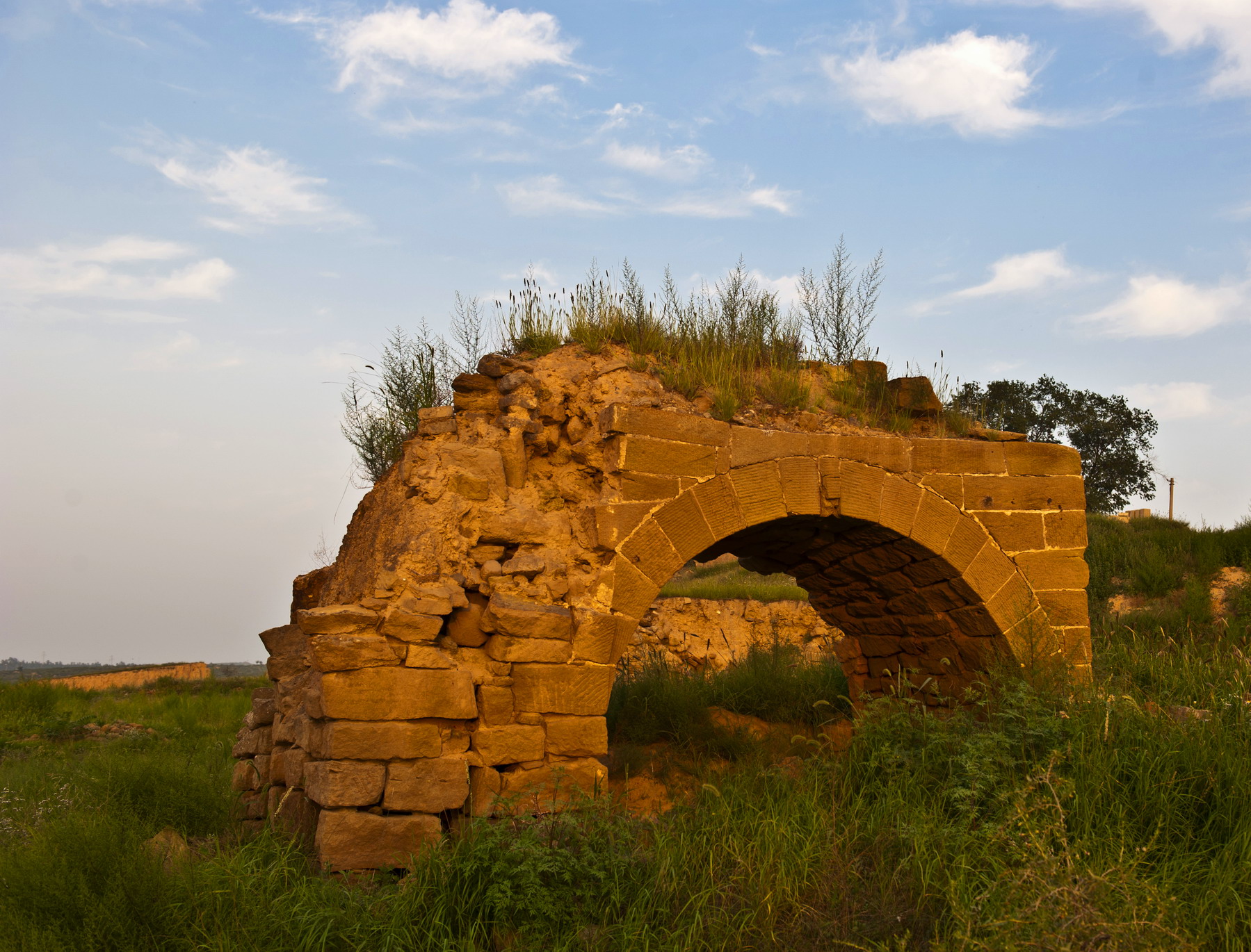 DSC_0886.jpg