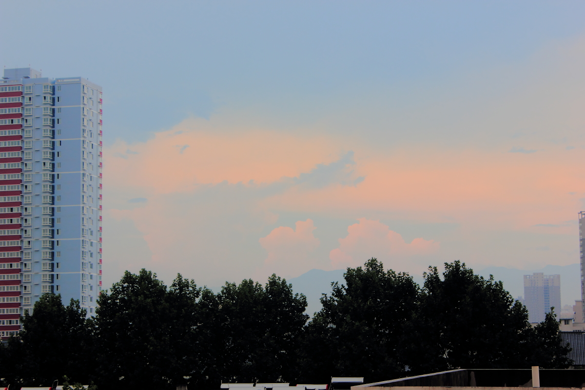 _MG_3050.JPG