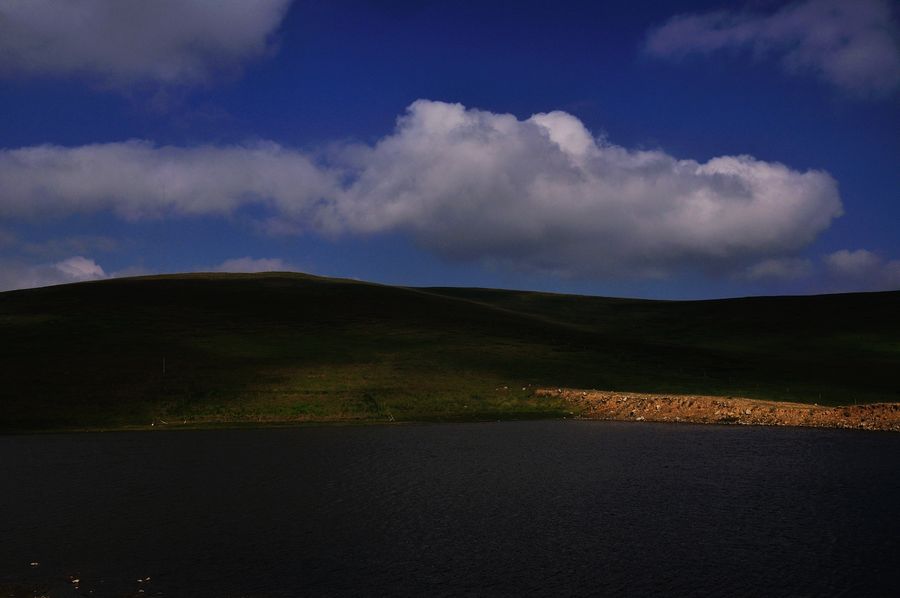 DSC_055912.jpg