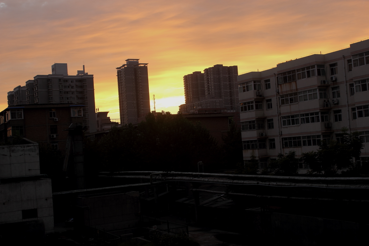 _MG_2962.JPG