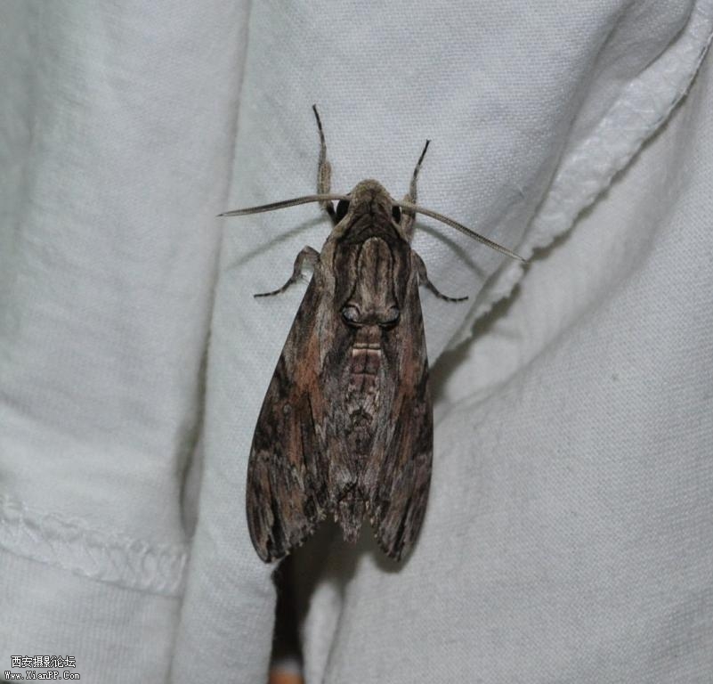 DSC_0564.JPG
