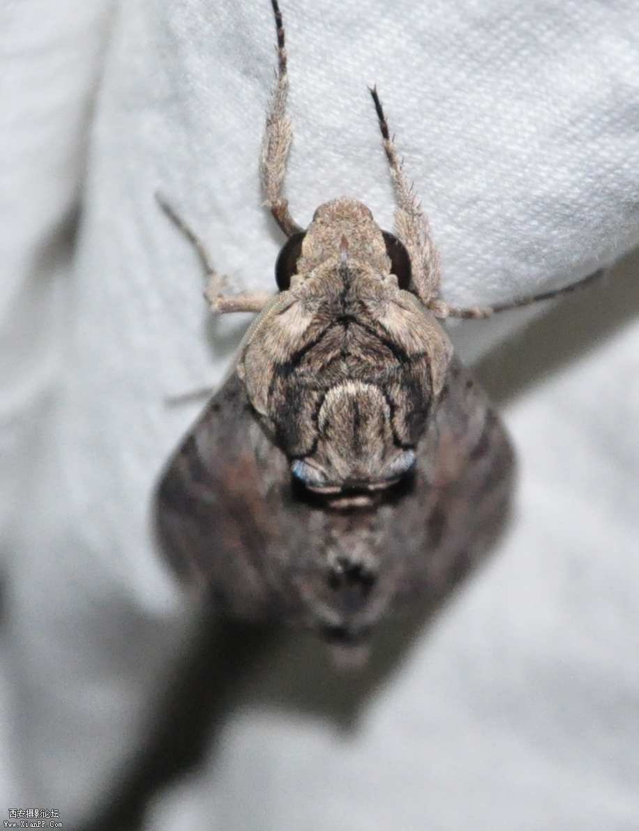 DSC_0575.JPG