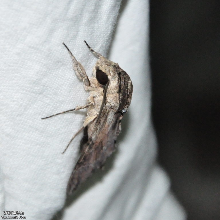 DSC_0577.JPG