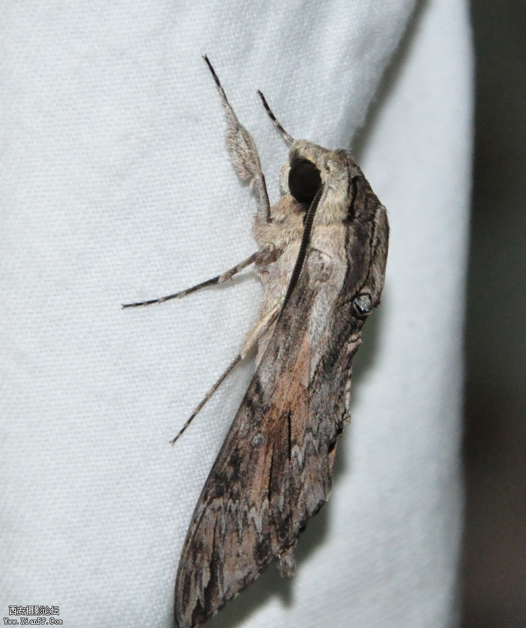 DSC_0578.JPG