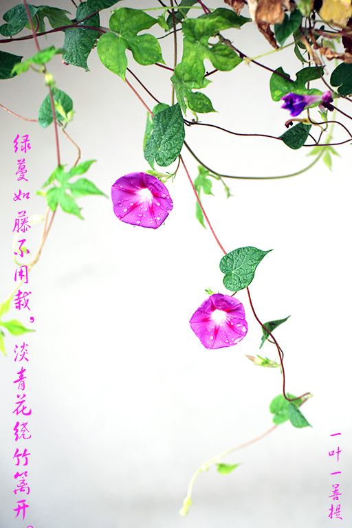 7K8A1709a.jpg