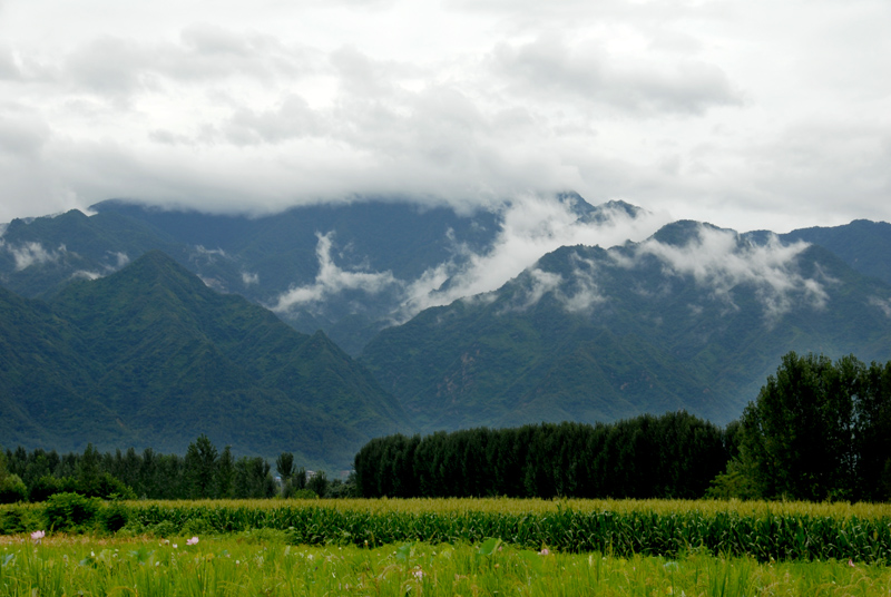西炉丹村 (11).jpg