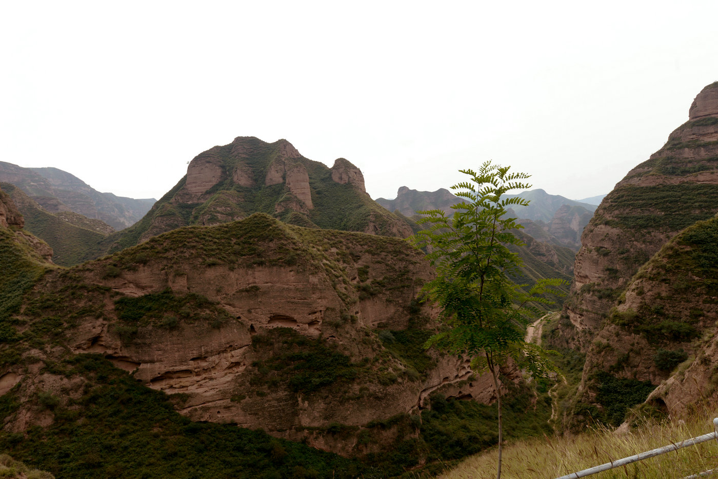 DSC_0145_副本.JPG