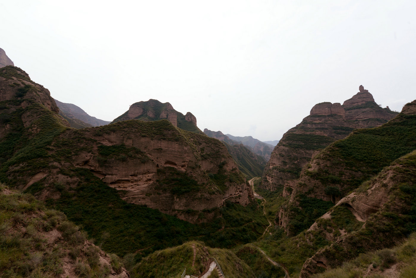 DSC_0090_副本.JPG