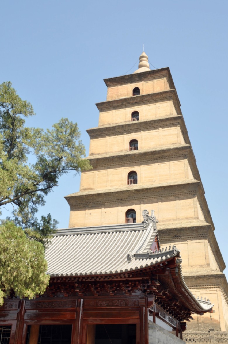 DSC_0922_conew1.jpg