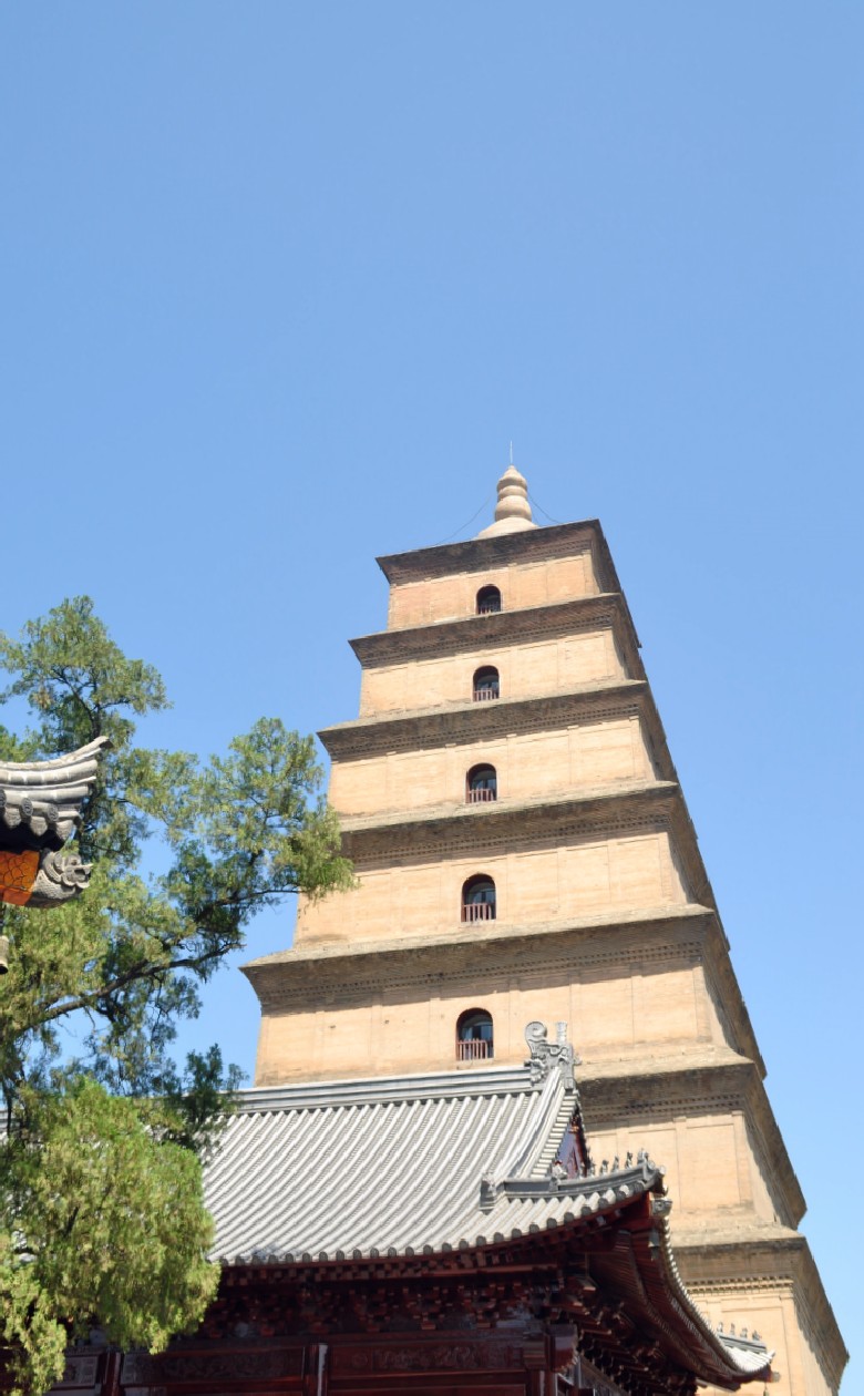DSC_0954_conew1.jpg