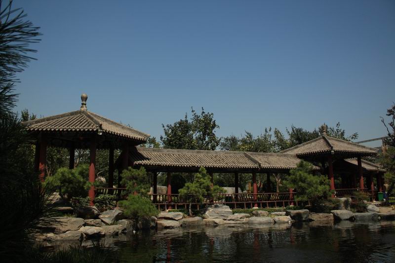 照片2013 306.jpg