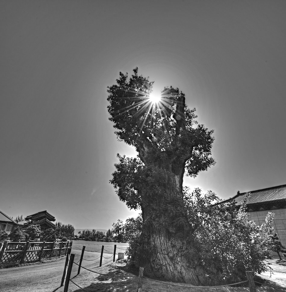 DSC_1545_tonemapped.jpg