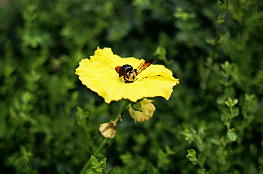 IMG_3876.jpg